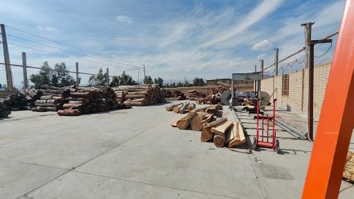 عکس کارخانه توسکا چوب هامون ایرانیان