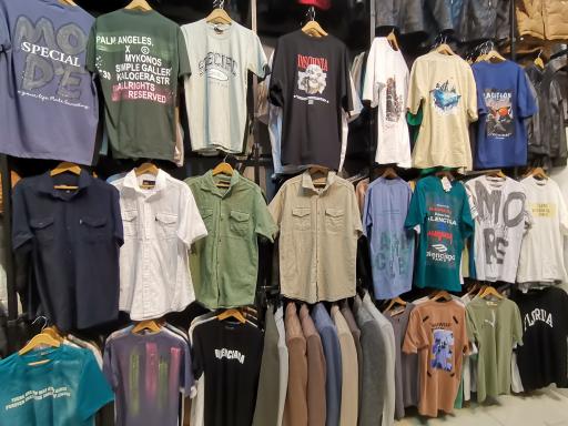 عکس پوشاک امیران 