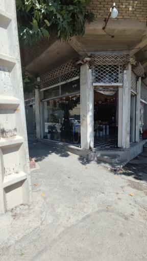 عکس گل سرای گندم نادری