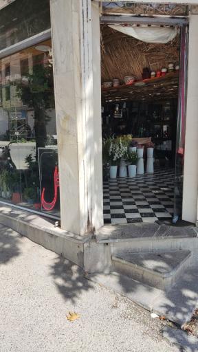عکس گل سرای گندم نادری