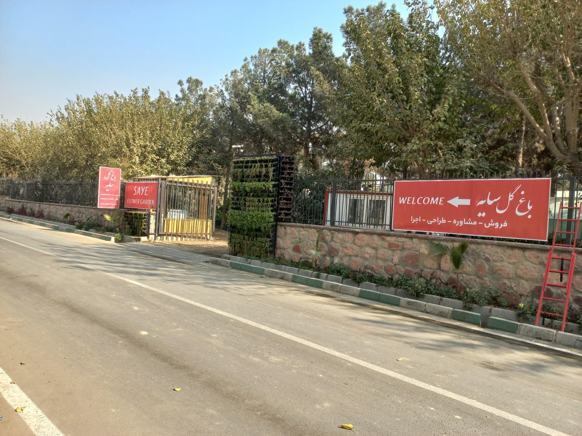 عکس باغ گل سایه