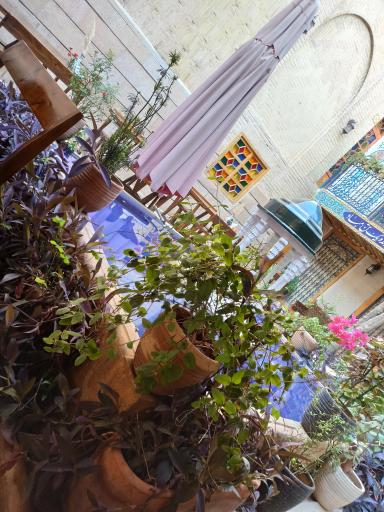 عکس بوتیک هتل راد