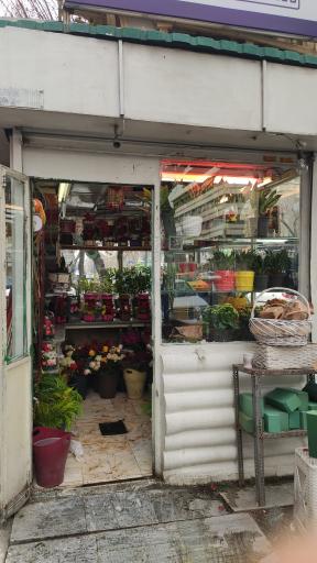 عکس دکه گل فروشی