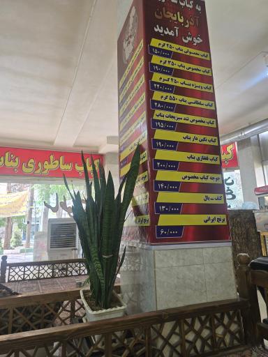 عکس کباب ساطوری