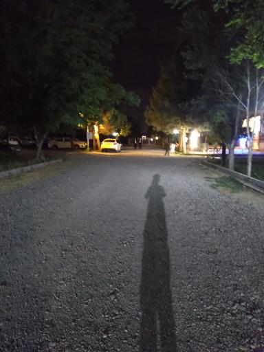 عکس تالار گنجینه ی توس