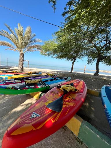 عکس باشگاه پدیده لیان ( ایستگاه پدل برد )