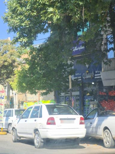 عکس فروشگاه لوازم یدکی ایساکو