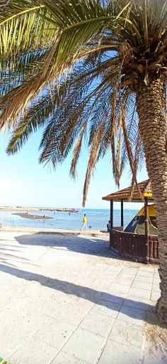 عکس پارک ساحلی بندر دیر