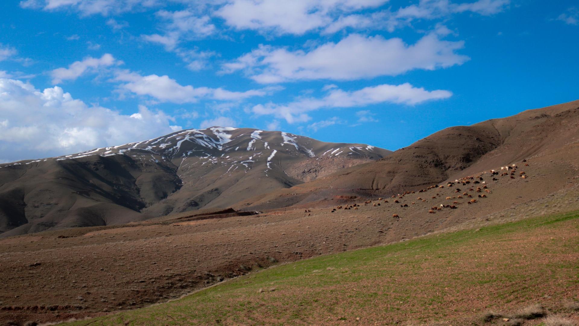 عکس کمرمندلی دررود