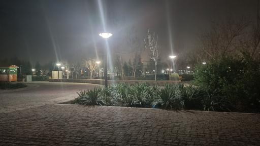 عکس پارک لاله