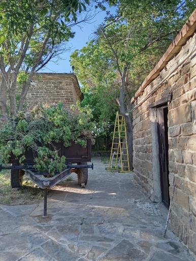 عکس کلیسای سیر