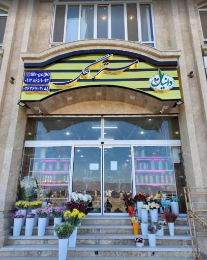 عکس مستر گل