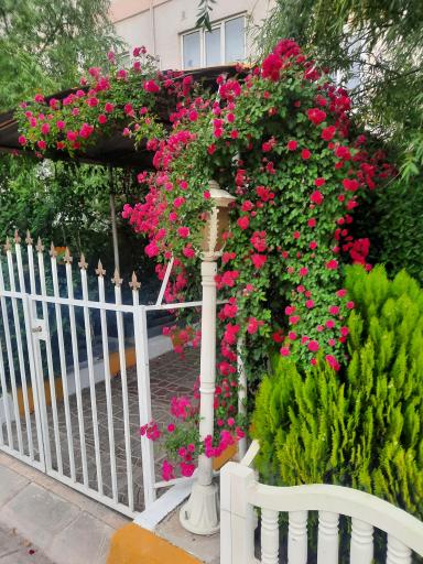 عکس مجتمع پرشین