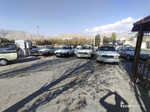 عکس باربری سبز