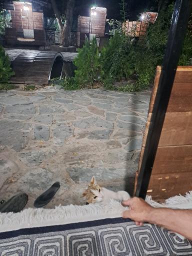 عکس رستوران سیمرغ