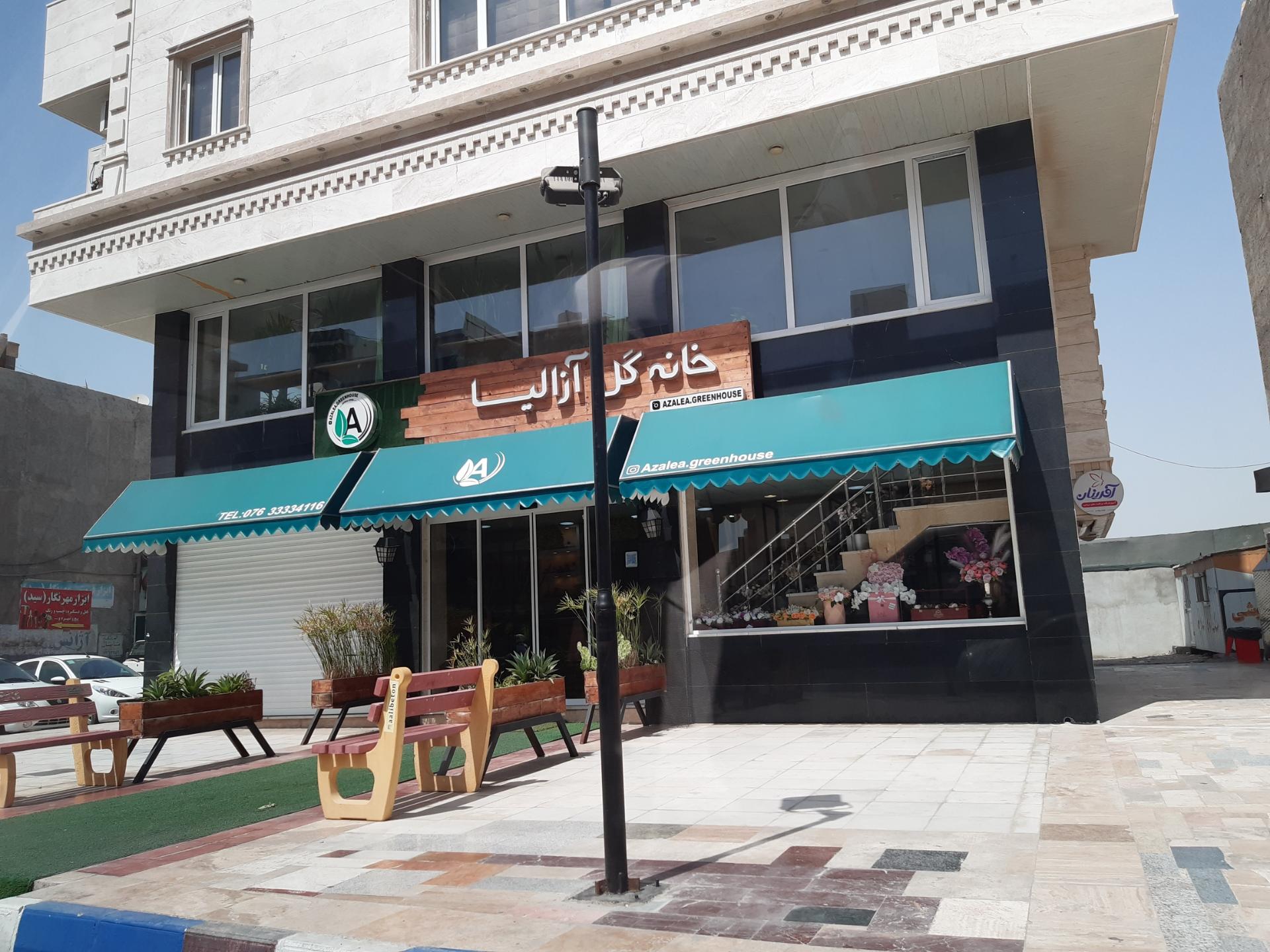 عکس خانه گل آزالیا 