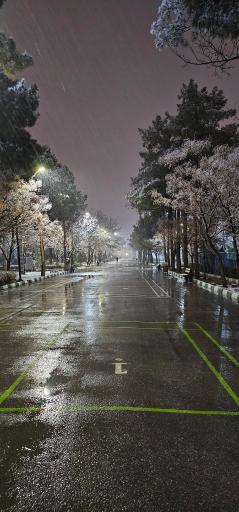 عکس بوستان مادر