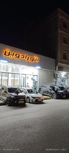 اتو رادوین