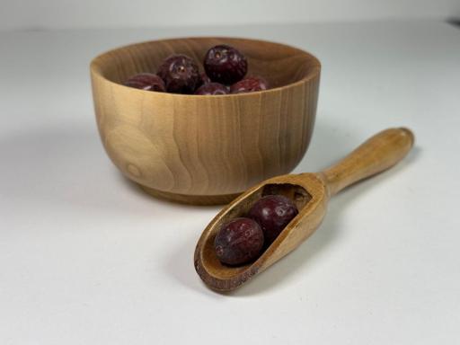 گیاهان دارویی سید