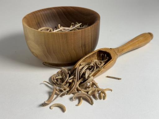 عکس گیاهان دارویی سید(عطاری سید)
