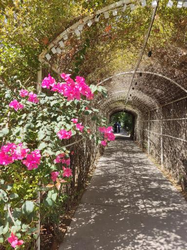 عکس دانشکده پرستاری و مامایی حضرت فاطمه