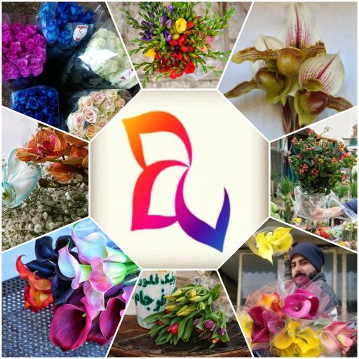 عکس گل فروشی یونیک فلور (Unique Florist)