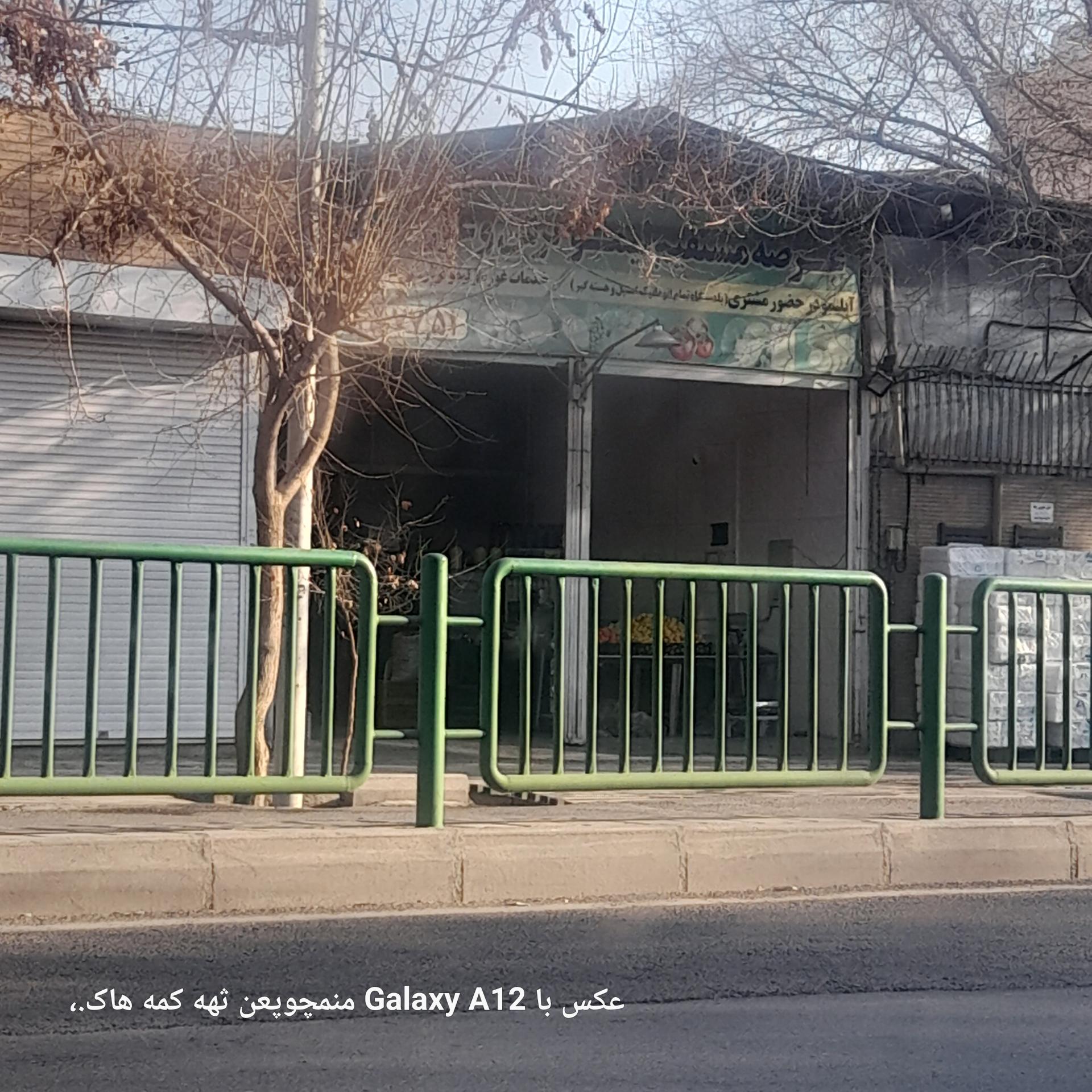 عکس آبلیموی برگ سبز