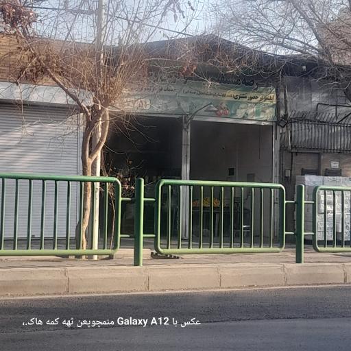 عکس آبلیموی برگ سبز