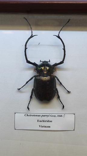 عکس موزه حشرات