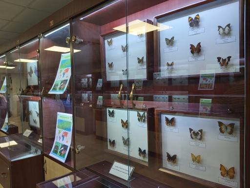 عکس موزه حشرات