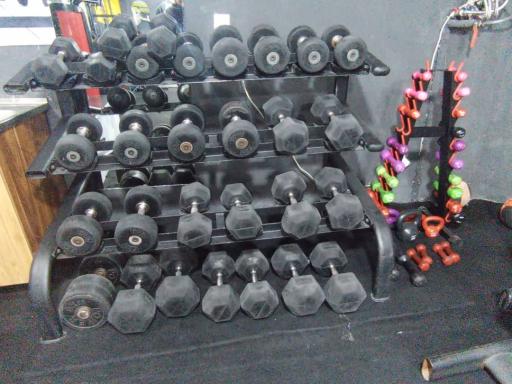 عکس باشگاه بدنسازی پرشین 