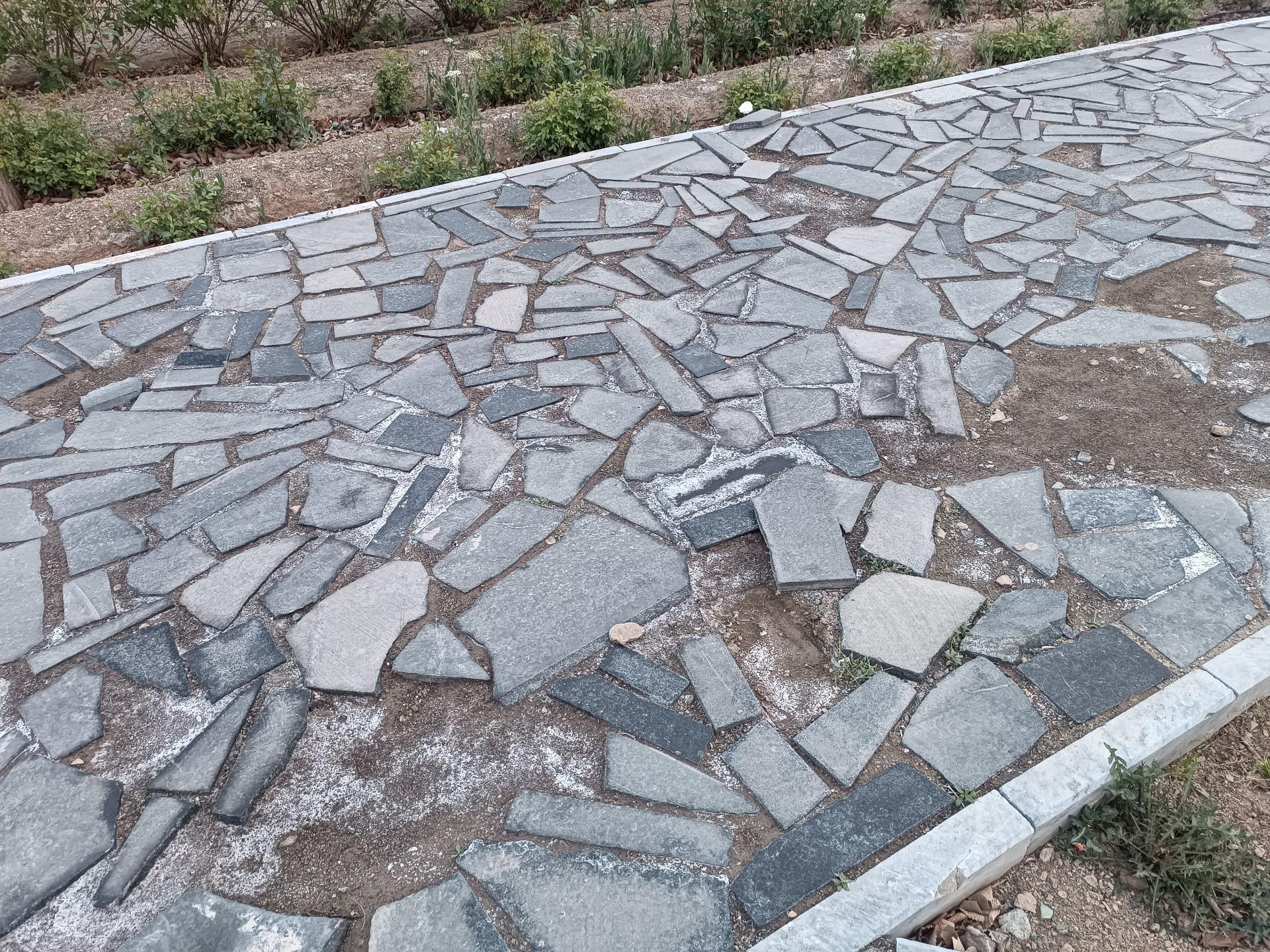 عکس بوستان نمار
