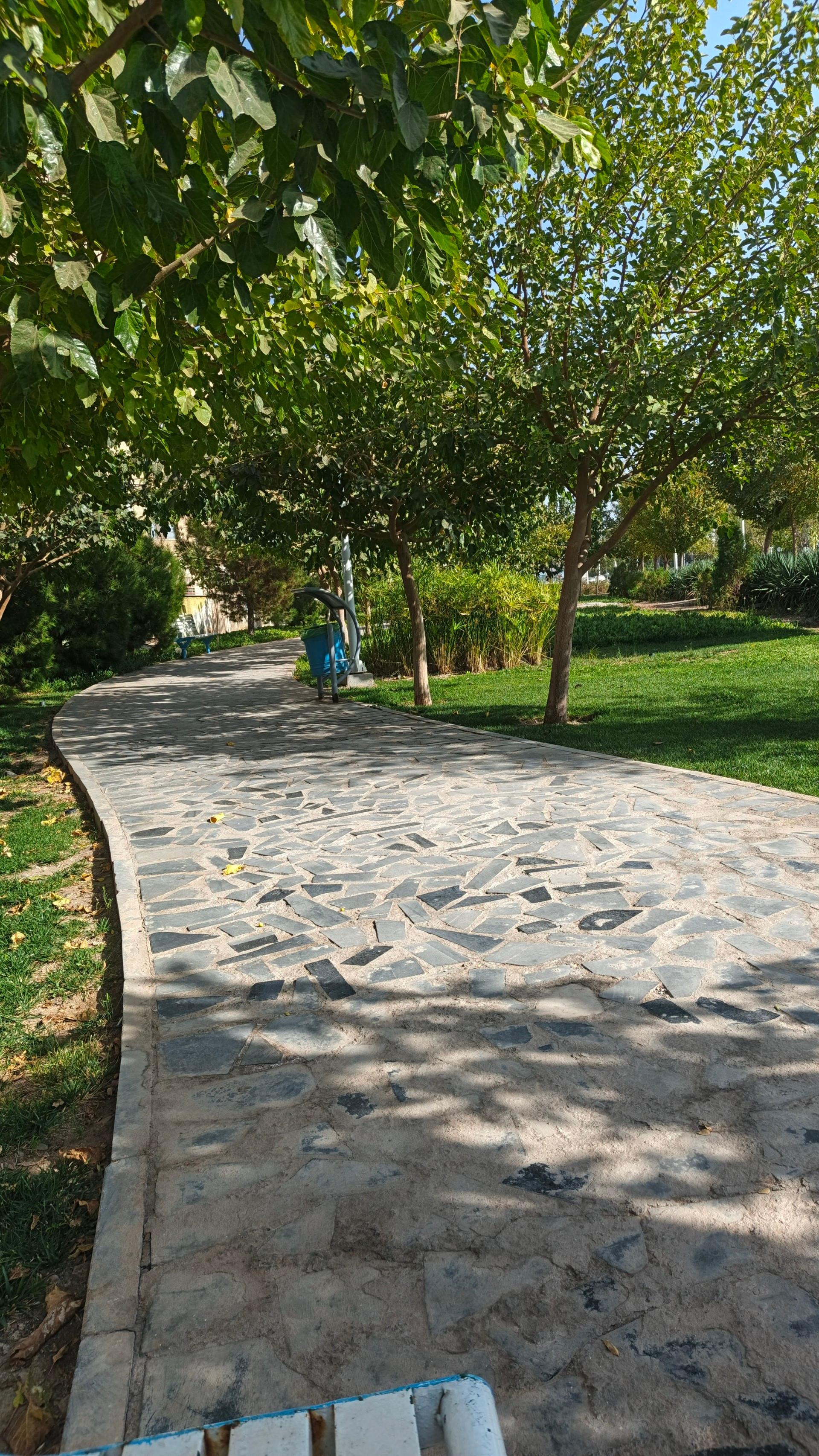 عکس بوستان نماز