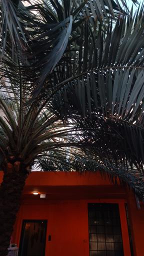 عکس کافی‌شاپ آمیس