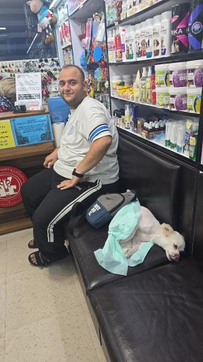 عکس کلینیک دامپزشکی غزال