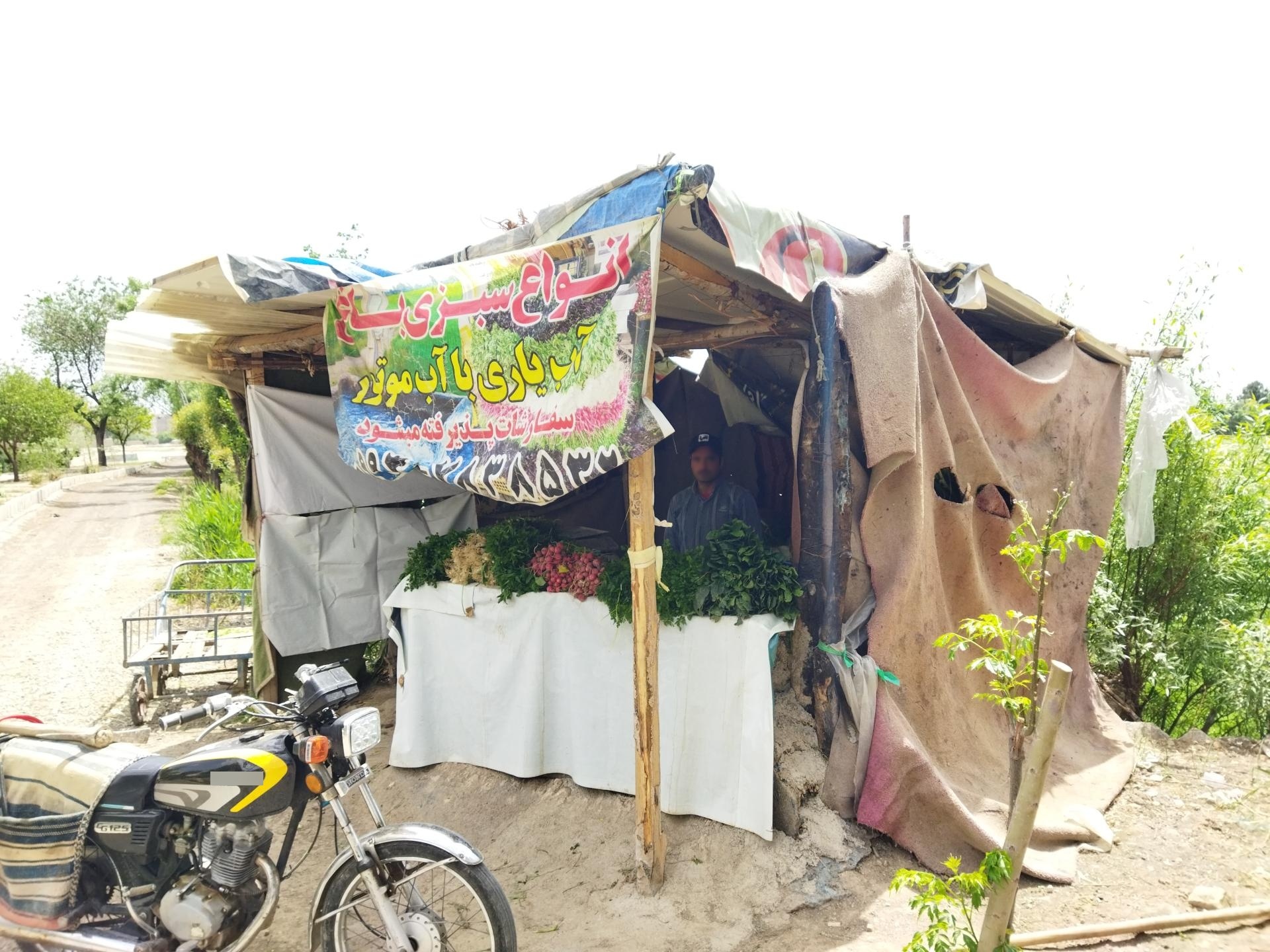 عکس سبزی‌فروشی باغ
