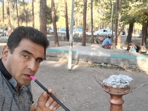 بوستان جنگلی پردیسان قائم (عج)