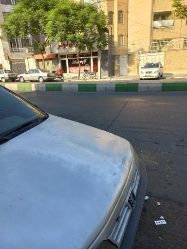 عکس کباب سرای کوثر