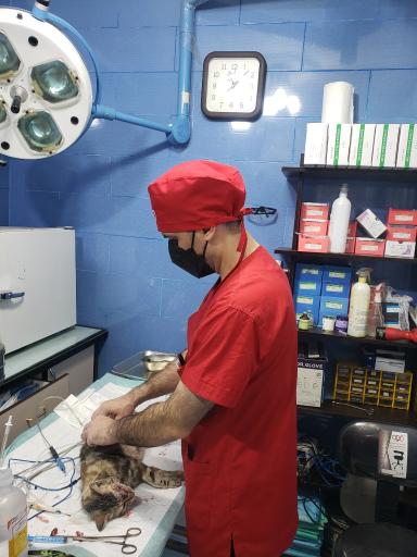 عکس کلینیک دامپزشکی غزال