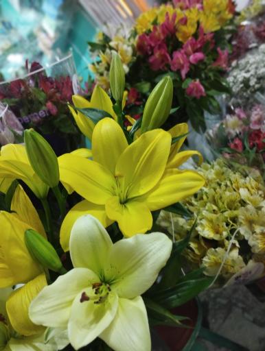 گل فروشی عسکری