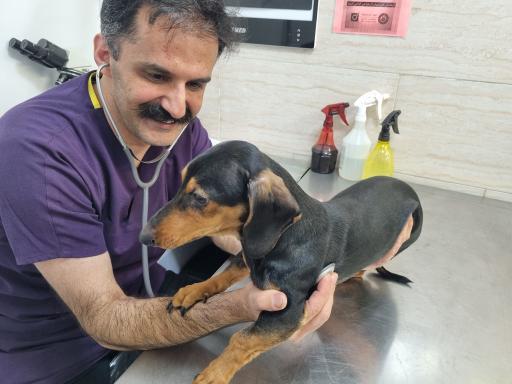 عکس کلینیک دامپزشکی غزال