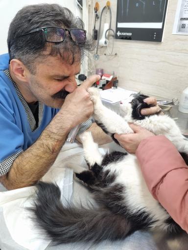 عکس کلینیک دامپزشکی غزال