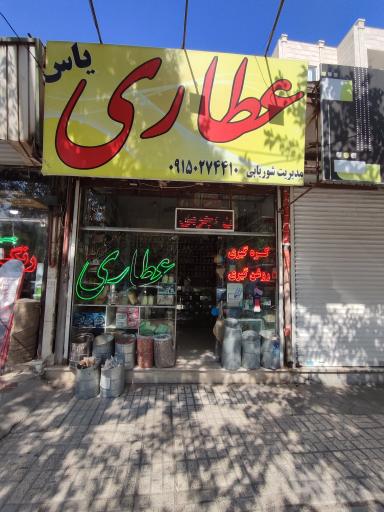 عکس گیاهان دارویی یاس