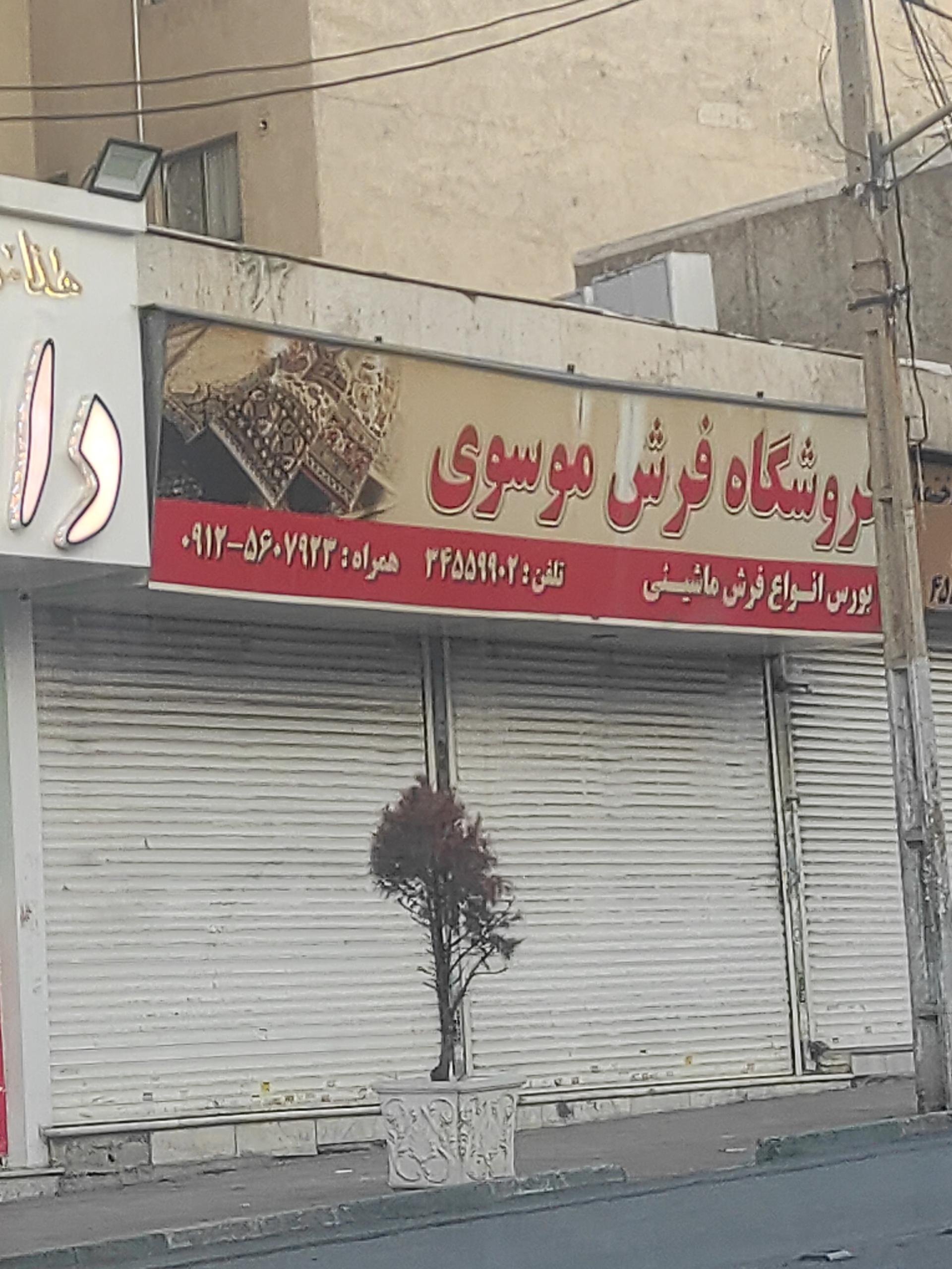 عکس فروشگاه فرش موسوی 