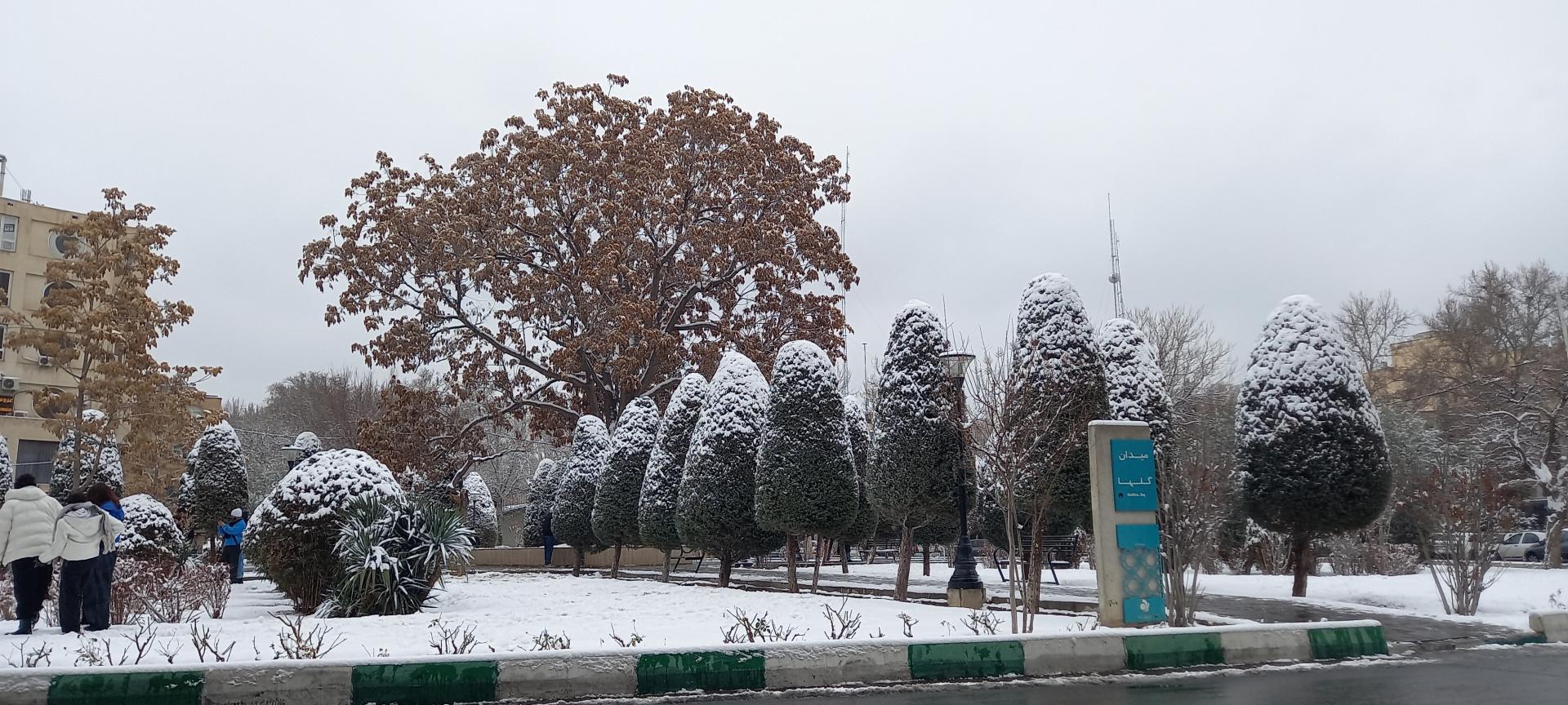 عکس میدان گلها