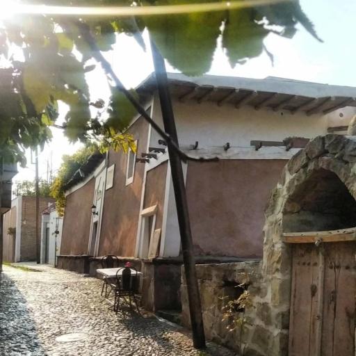 عکس اقامتگاه بومگردی ویدار