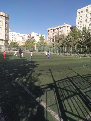 عکس زمین چمن 