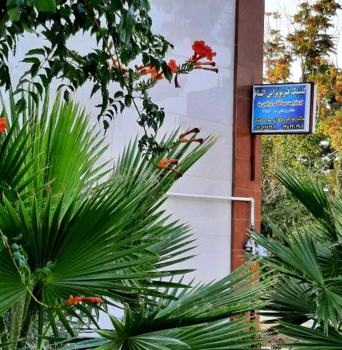 عکس کلینیک فیزیوتراپی التیام