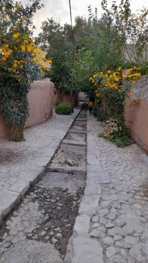 عکس اقامتگاه بومگردی ویدار