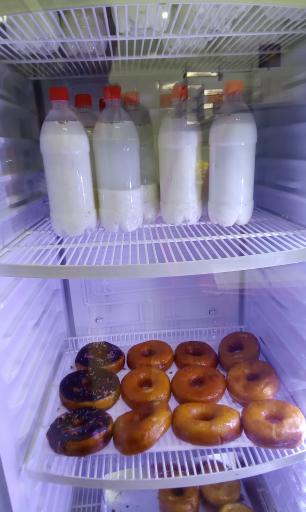 عکس دوغ و گوشفیل عاج